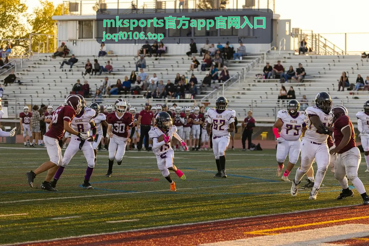 mksports官方app官网入口的功能分区与数据面板示意